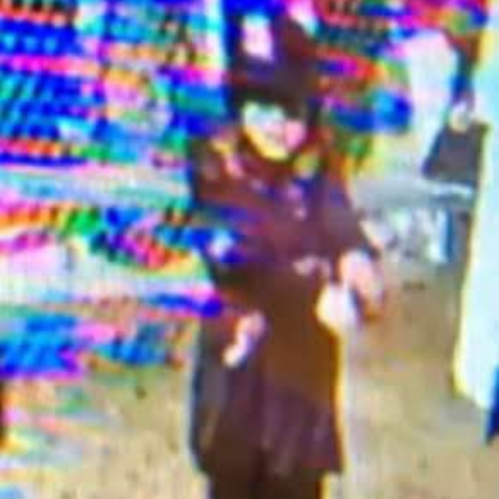 Meet your Posher, Reegan - Picture 5 of 5